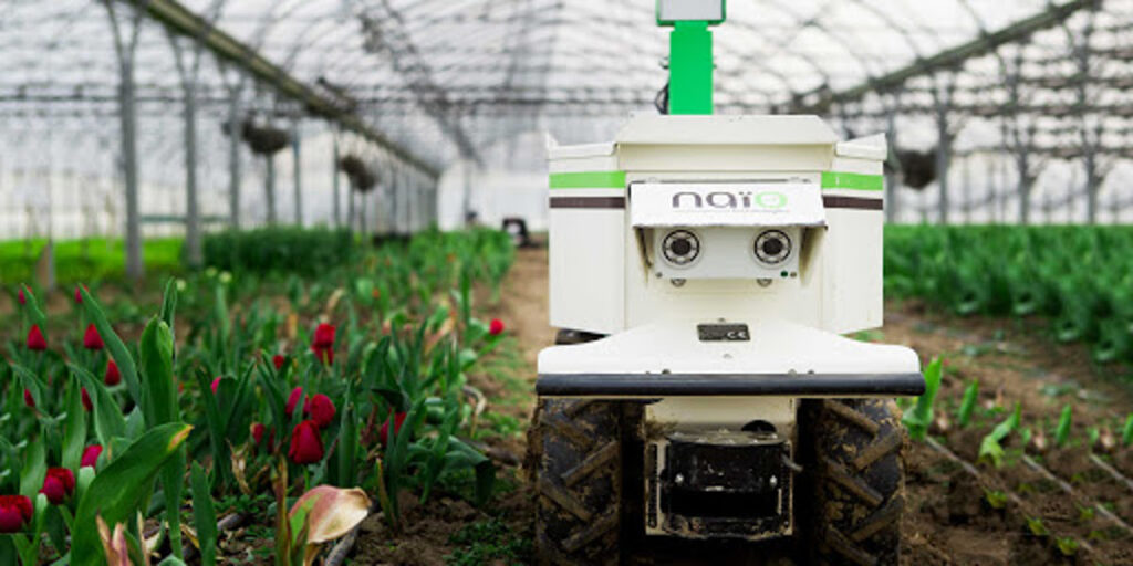 Le robot agriculteur de Naïo