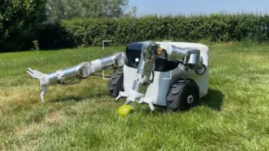 The Robotics Market in Belgium