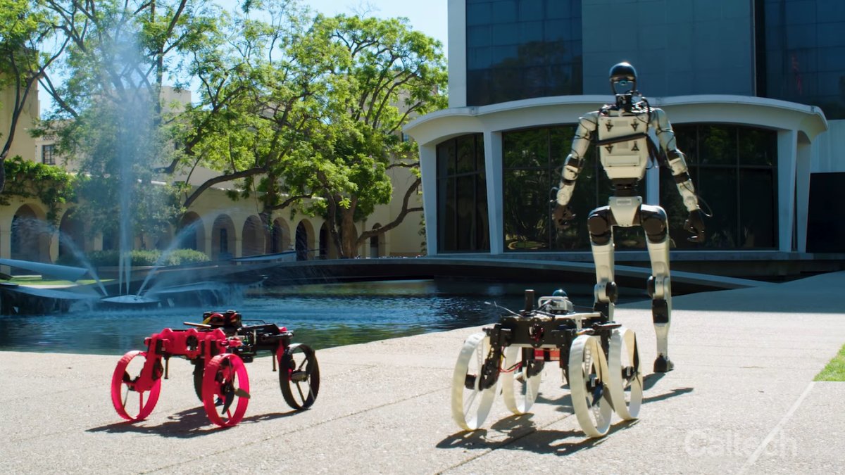 Top 7 des robots humanoïdes les plus sophistiqués — free download