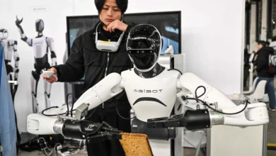 2026 Global Directory of Humanoid Robot Manufacturers: Ranking by Country and Sector