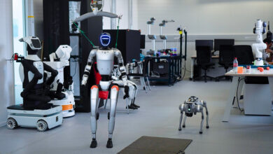 Robot-Magazine Interview - MAESTRO