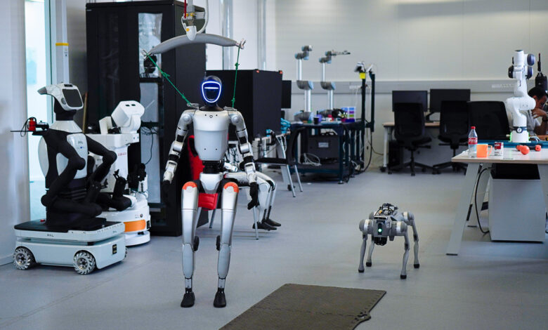 Robot-Magazine Interview - MAESTRO